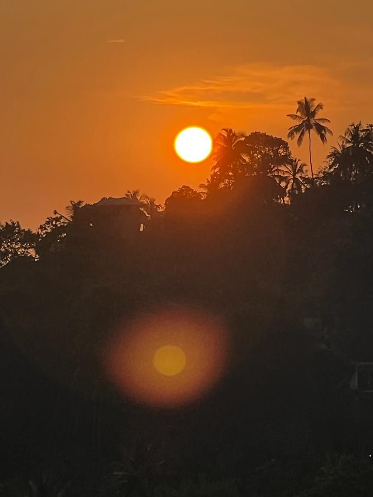 Pôr do sol com o sol parcialmente escondido por palmeiras.