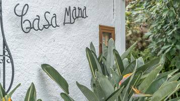 Detalle del exterior