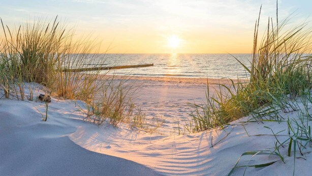 Ein Strandbild mit Sand, Gras und dem Meer bei Sonnenuntergang.