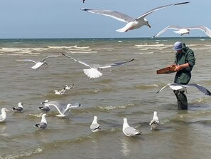 Plage