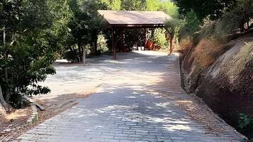 House | Property grounds