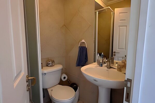 A bathroom with a toilet, sink, and mirror.