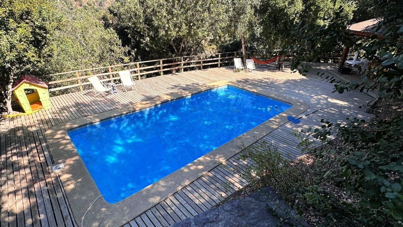 Une piscine avec une terrasse en bois, entourée d’arbres.