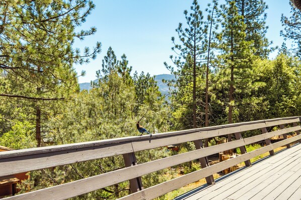 A wooden deck with a bird perched on the railing, surrounded by dense green trees and a clear blue sky.