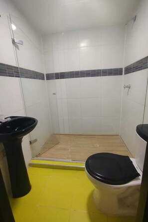 Shower, towels, soap, toilet paper