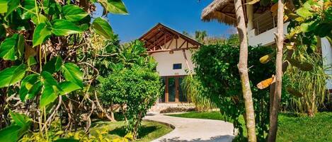 A pathway leading to a building surrounded by lush greenery.