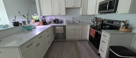 Mikrobølgeovn, ovn, kokeplater og oppvaskmaskin