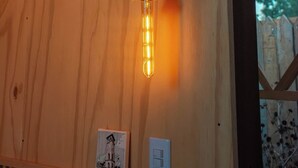 A wooden wall with a rope light fixture and a small picture of a clock tower.