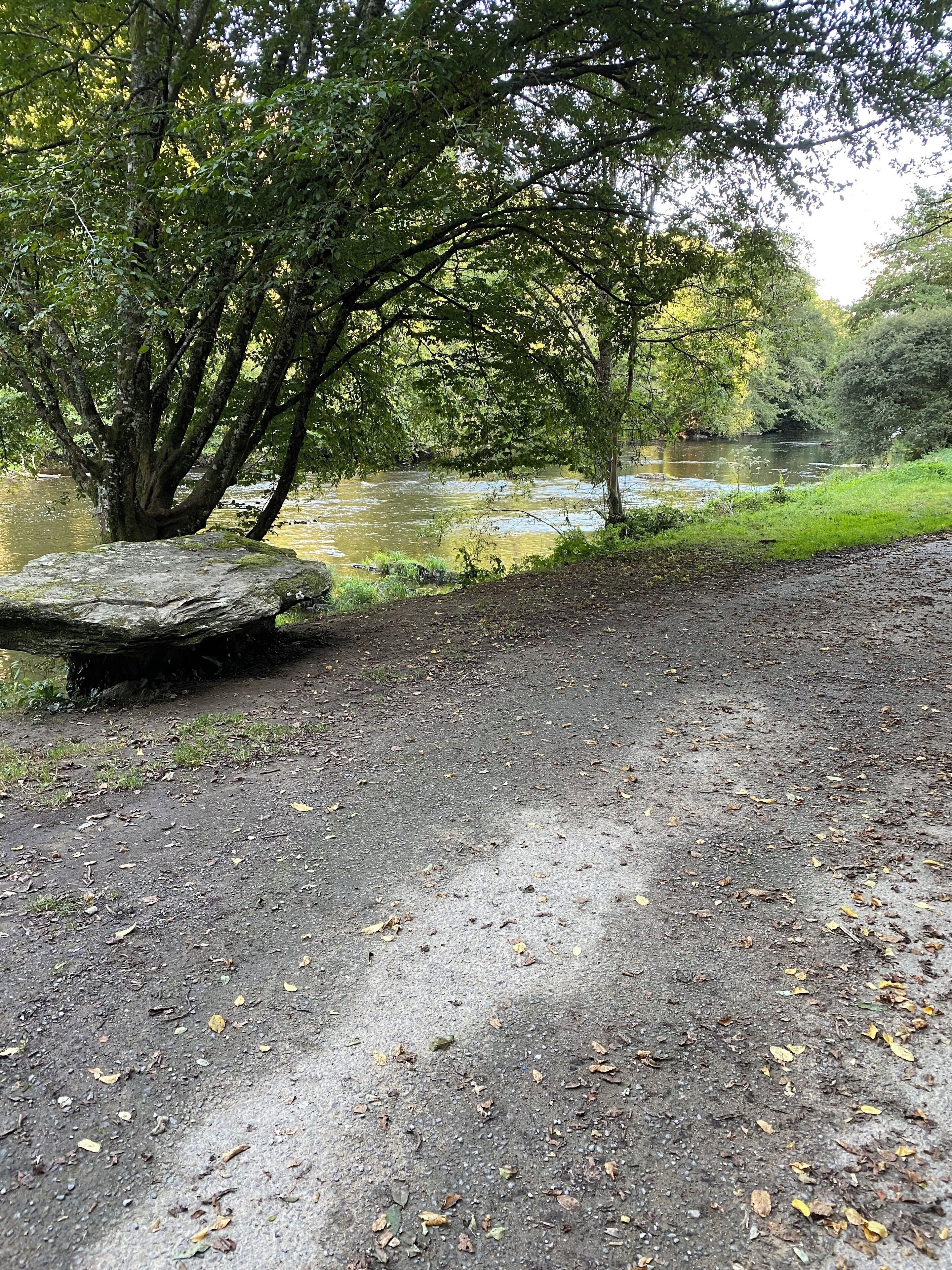 A paved path with a large rock in the foreground, leading to a river with trees and greenery in the background.