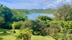 A lush green landscape with a lake, trees, and hills in the background.