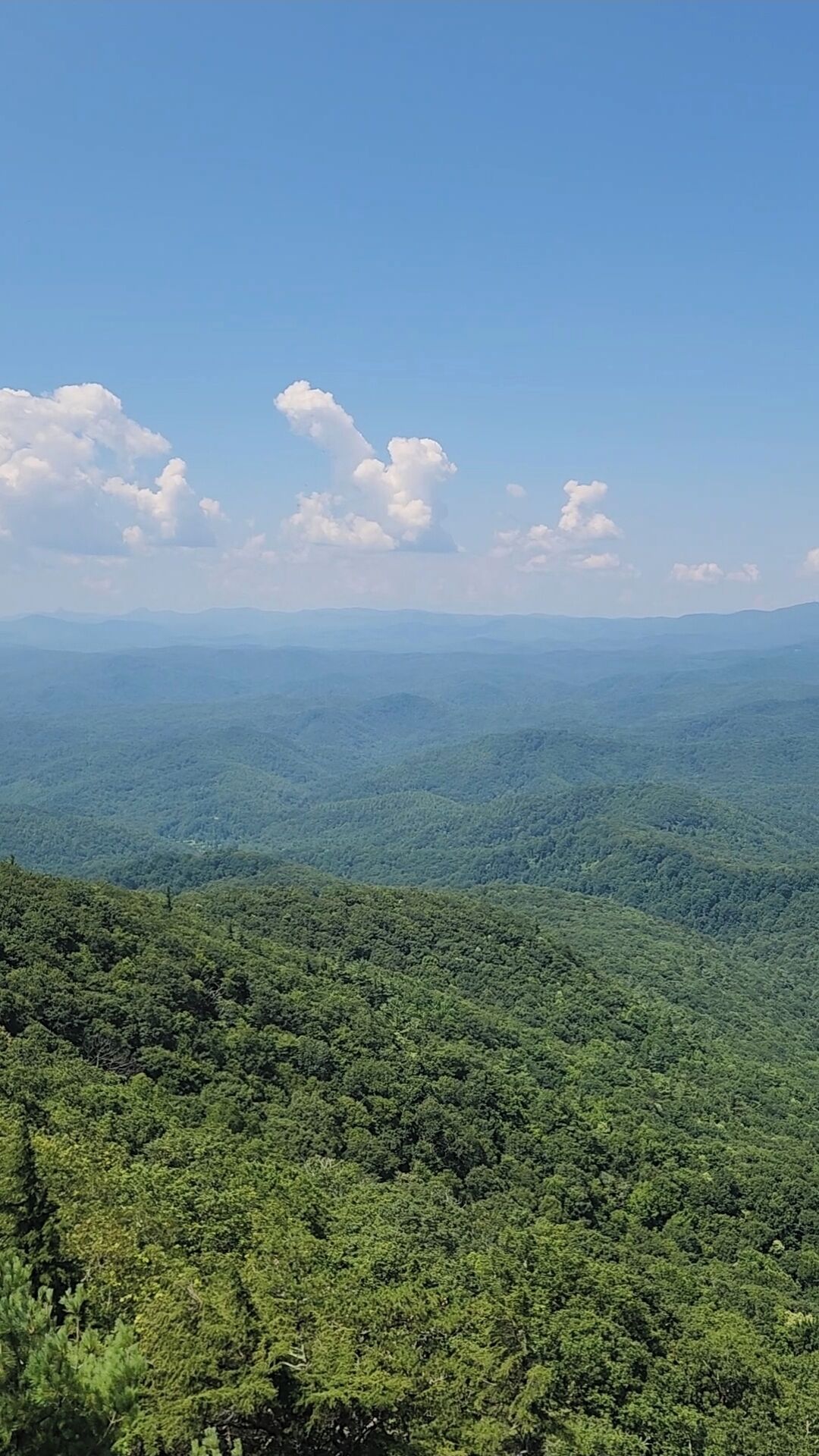 Panoramica di un paesaggio montuoso con fitte foreste verdi e cielo azzurro intenso.