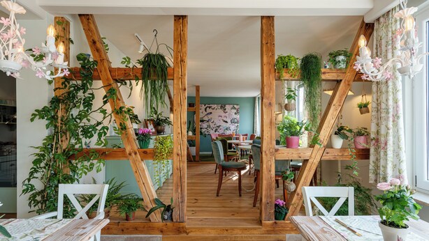 A wooden staircase with plants, a dining area with chairs and a table, and a view into another room with a table and chairs.