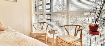 Studio Apartment for Rent (Second Floor) in Fort York Boulevard, Toronto, ON