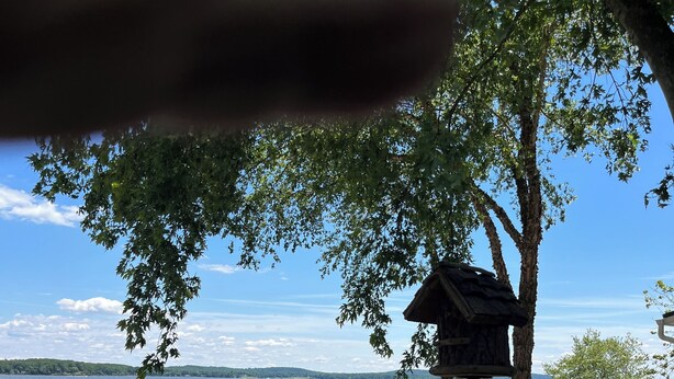 A lakeside view with chairs and a birdhouse.