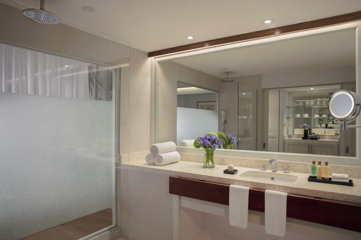 Shower, towels, soap, shampoo