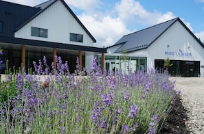 Un bâtiment moderne avec une enseigne indiquant « BLEU LAVANDES » et un jardin agrémenté de fleurs violettes.