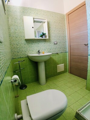 Een douche, een haardroger, een bidet, handdoeken