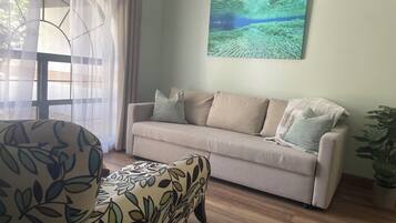 Smart TV, lareira, livros
