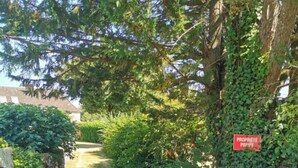 A narrow pathway flanked by dense greenery and a red sign indicating private property.