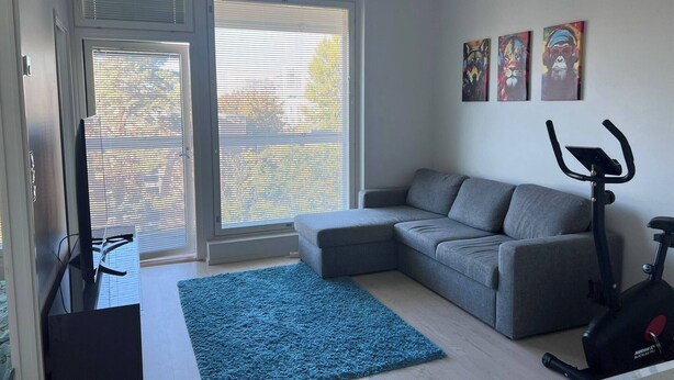 A modern living room with a grey sofa, a blue rug, and an exercise bike. - Helsinki City or Airport 16min, Convenience Place (Vantaa)