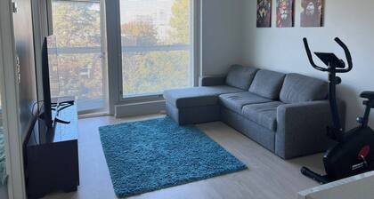 Helsinki City or Airport 16min, Convenience Place