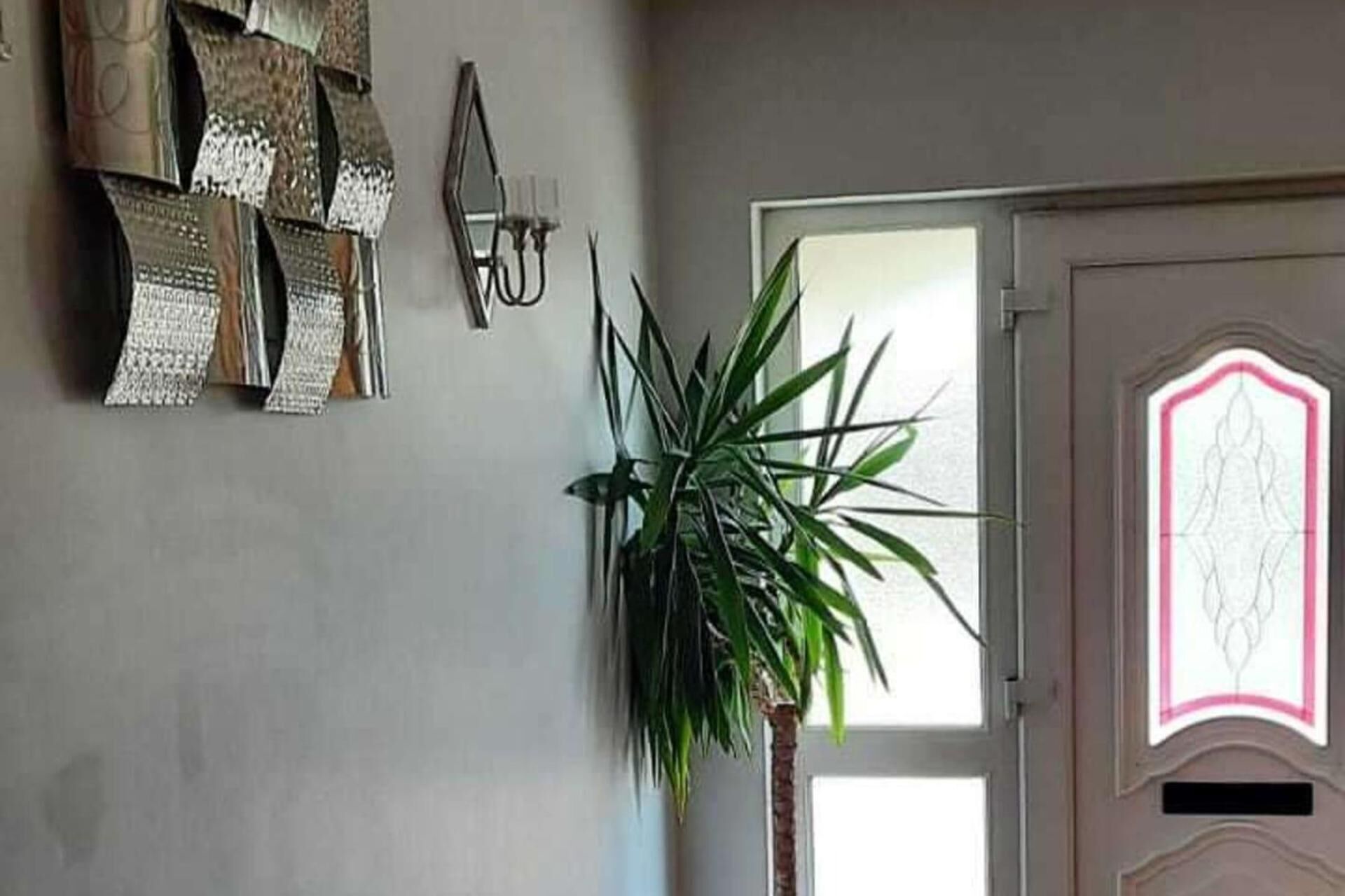 A room with a large potted plant, a wall-mounted mirror, and a door with a decorative glass panel.