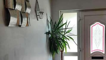 A room with a large potted plant, a wall-mounted mirror, and a door with a decorative glass panel.