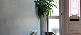 Tranquil Retreat at Ailt Cottage