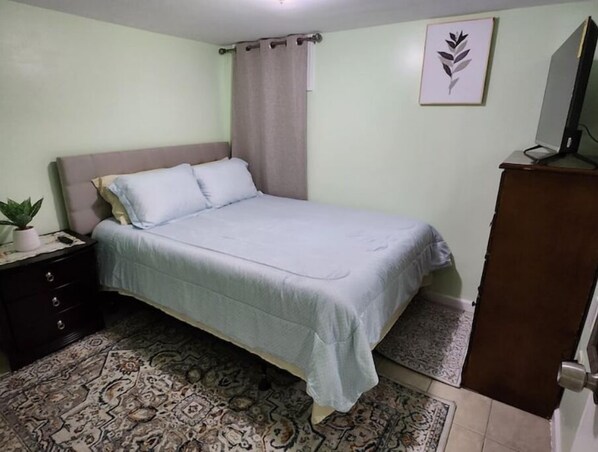 A bedroom with a bed, a nightstand, a potted plant, a patterned rug, and a door.