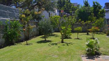 Servicio de la propiedad