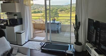 Apartment Plage d'Agosta - A piaghja