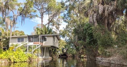 Tree House Treasure - elevated home hovering over the lagoon with 4 kayaks!