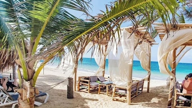 A beach setting with a wooden structure providing shade, a palm tree, and a view of the ocean. - Hotel Neon (Punta Cana)