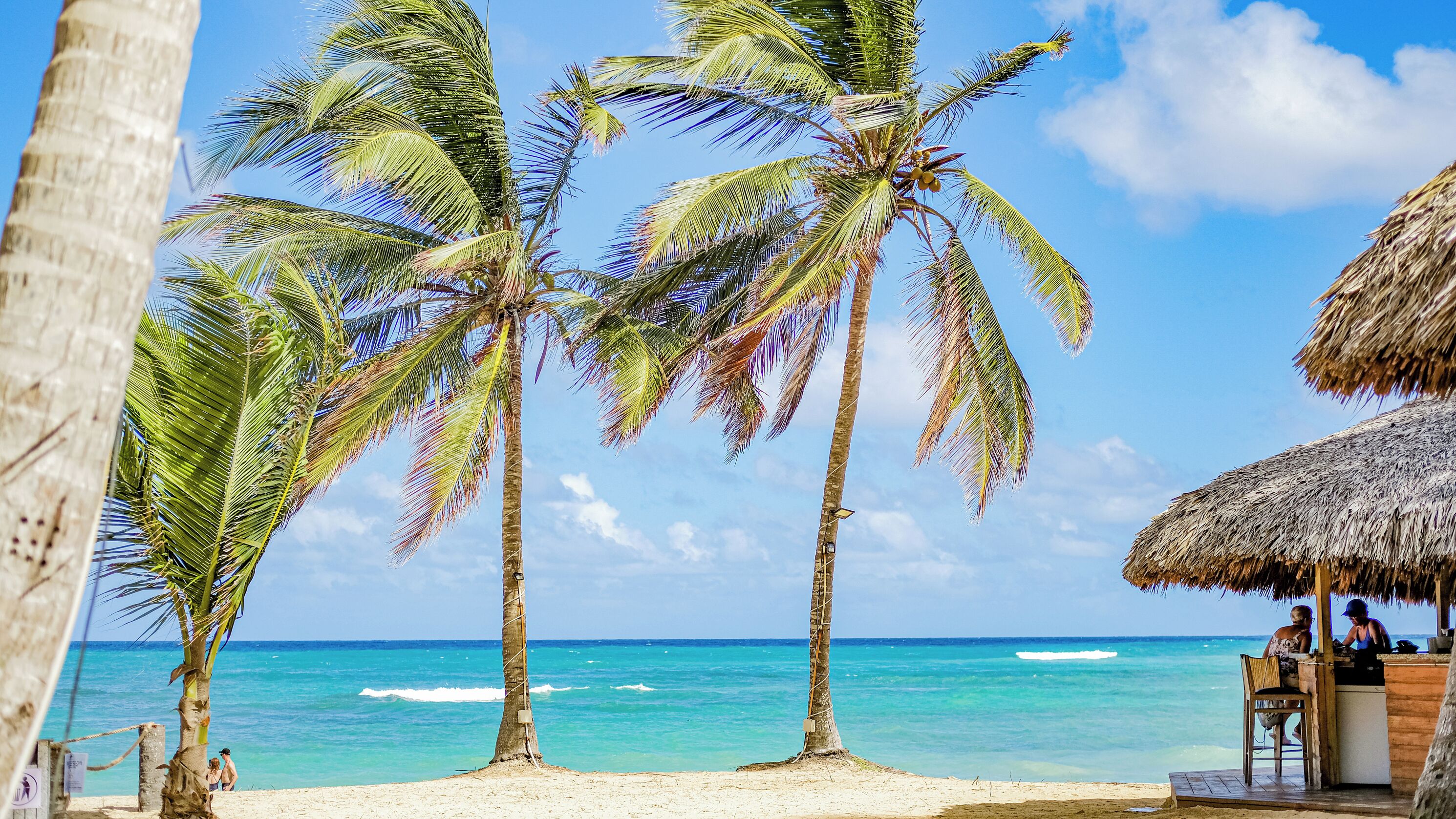 Private beach, white sand, free beach shuttle, beach bar