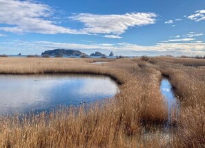 Apartment | Blick von der Unterkunft