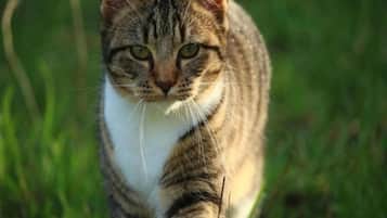 Apartment | Interior detail