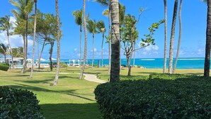 A tropical resort with palm trees, a well-maintained lawn, and a view of the ocean. - beach paradise ground floor Cabarete (Cabarete)