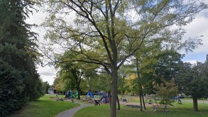 Property grounds - Ottawa apt beside park & close to Bank St. Great for couples with kids/pets (Ottawa)