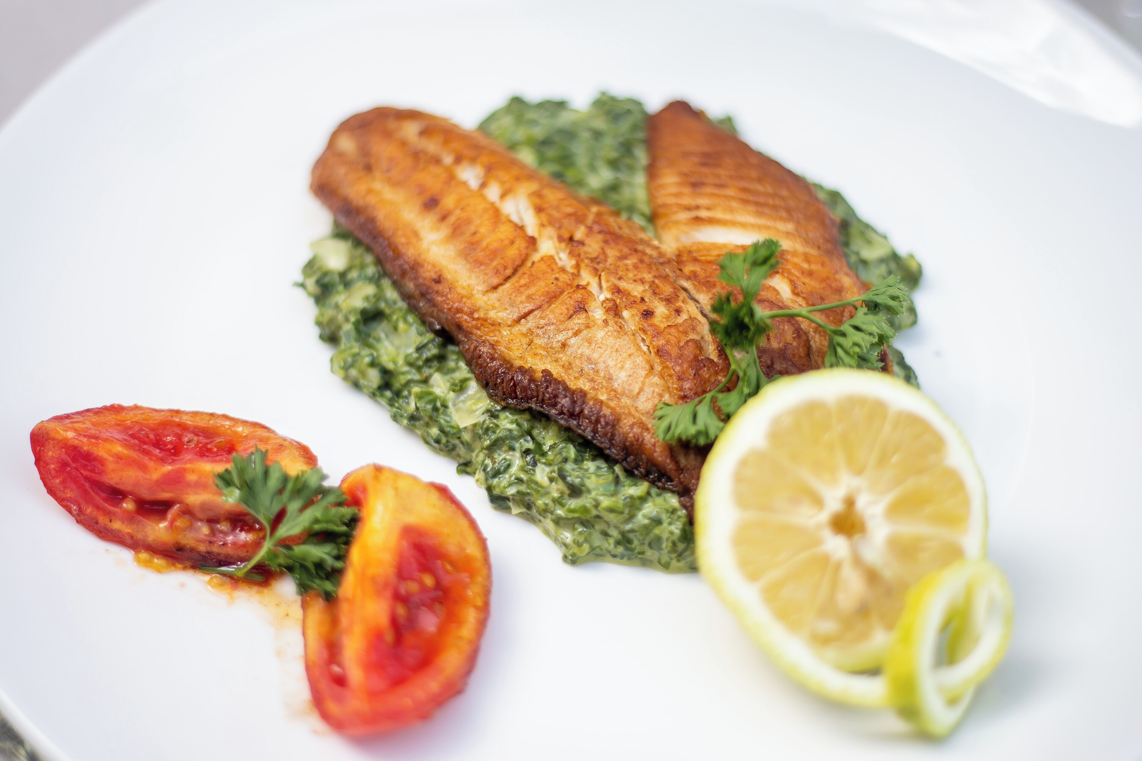 A plate with grilled salmon, a slice of tomato, and a lemon wedge.