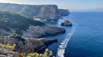 Apartment | View from property