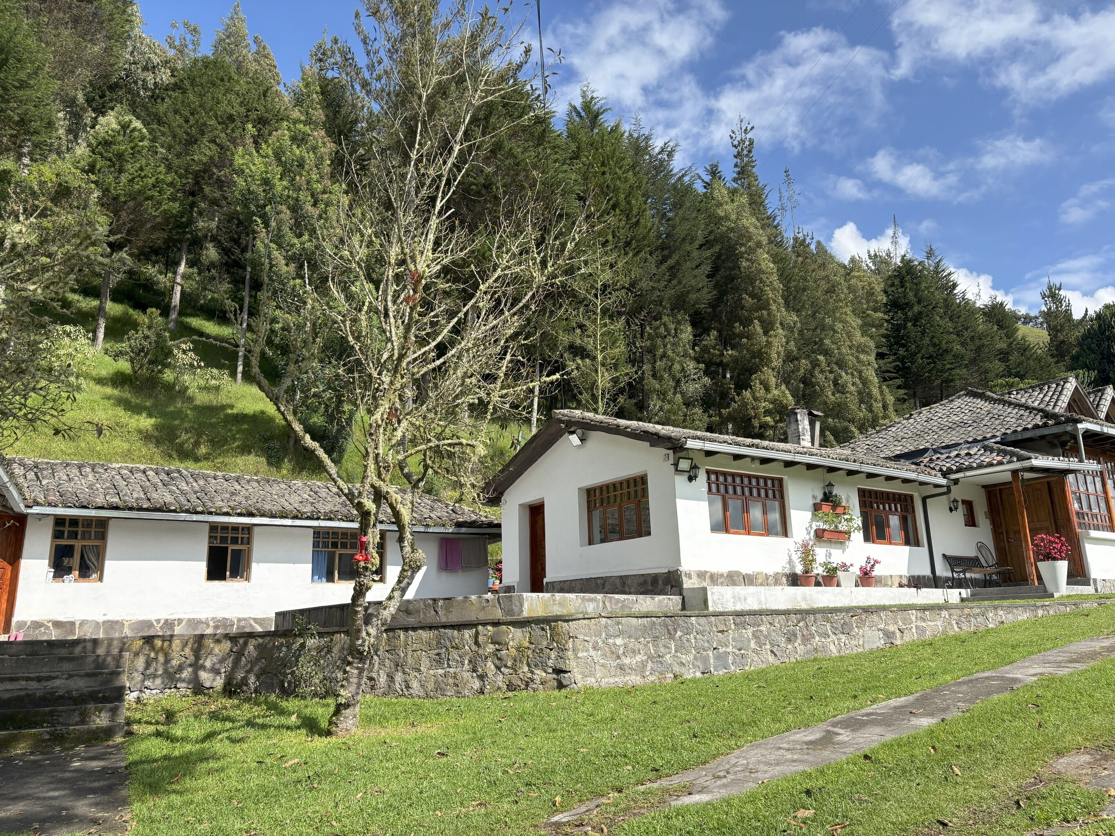 Un chalet traditionnel avec des fondations en pierre, des murs blancs et un toit recouvert de tuiles.