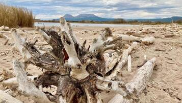 House | View from property