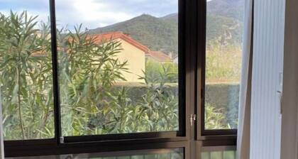 Studio 33 m2 , climatisé rénové