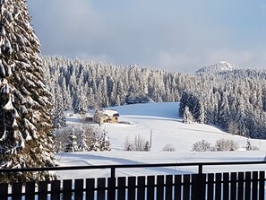 Balcony - Beautiful apartment in the mountains - village center (La Pesse)