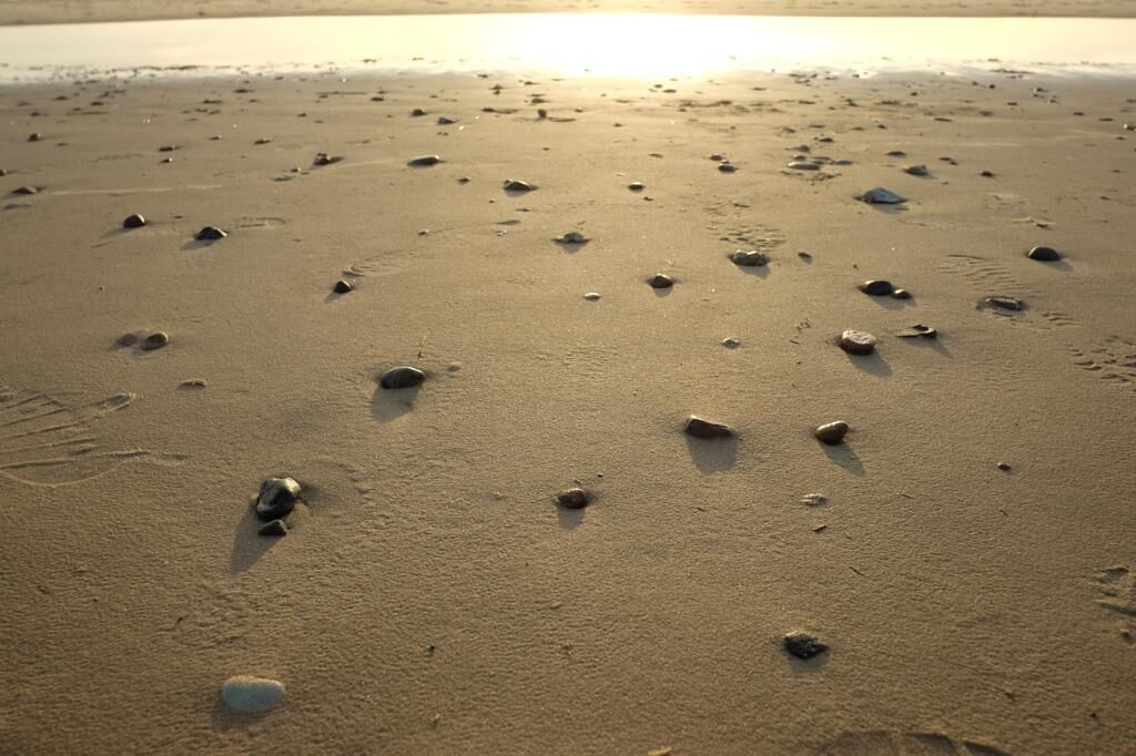 Een zanderig strand met voetafdrukken en losse rotsen.