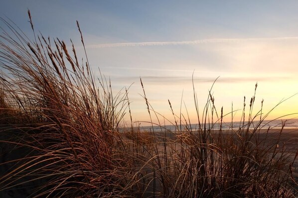 Exterior - Hotel Strandlyst Badehotel (Hirtshals)