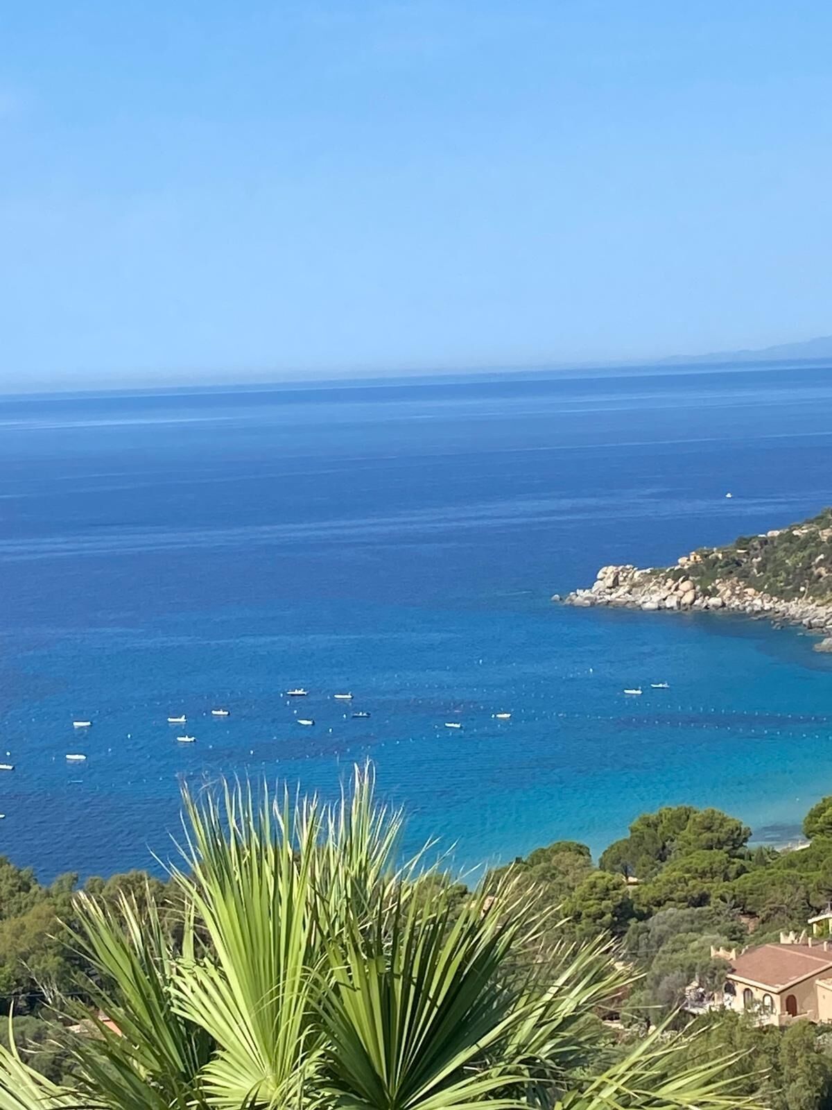 Une vue côtière avec des bateaux sur la mer, une côte rocheuse et une végétation luxuriante au premier plan.