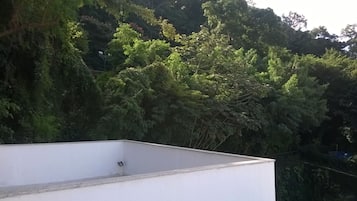 Comodidades da propriedade