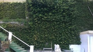 A staircase leading up to a building with a green wall covered in dense foliage. - Green Special B&B (Rio de Janeiro)