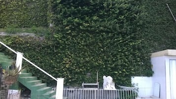 Comodidades da propriedade